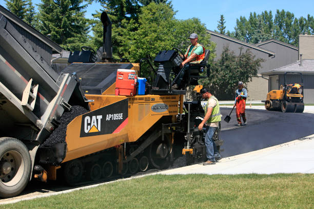  Alamosa, CO Driveway Pavers Pros